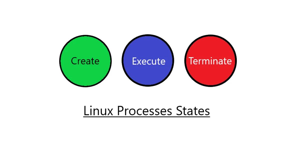 How Linux Processes Work: Fork, Exec, Signals, and Zombies